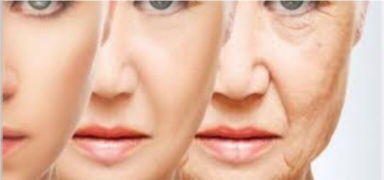 IMG_٢٠٢٤٠٣٠٦_١٩٣٤٤٦