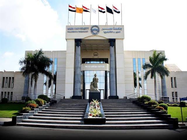 الرئيسية 14 WhatsApp Image 2025 05 17 at 00.00.07 d92a4b5a